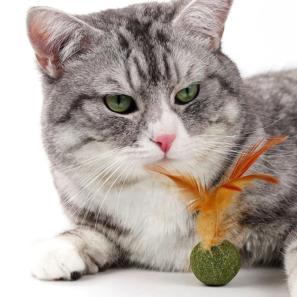 Mouse Mint Ball Feather Catnip Ball Self Cleaning Teeth Grinding Ball Feather Toy Ball Pet Toys Cat Supplies Pet Cleaning Tool