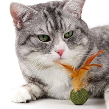 Mouse Mint Ball Feather Catnip Ball Self Cleaning Teeth Grinding Ball Feather Toy Ball Pet Toys Cat Supplies Pet Cleaning Tool