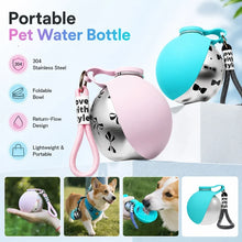Portable Dog Water Bottle, 304 Stainless Steel Pet Drinking Bottle with Hook & Leak Proof Ball Valve for Walking Travel