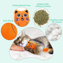 SCGK Cat Toy Catnip Toys Soft Plush Cat Nip Chew Toy for Indoor Cats, Interactive Kitten Pillow Kitty Teething Toys for Cat
