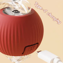 Cat Interactive ball Toy, Automatic Rolling Ball with Tail, Rechargeable Smart Pet Interactive Toy, Intelligent toy for Cat