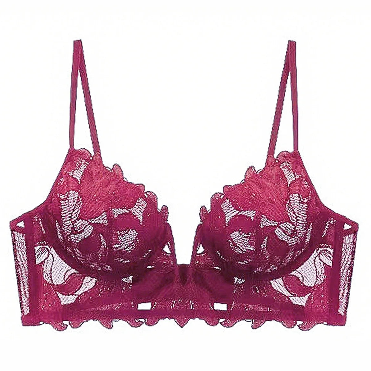 Women Lace Lingerie Set Elegant Sexy Bra Set See Through Underwear Ventilate Ladies Bra and Panty Set