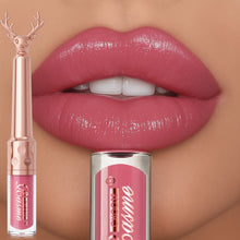 Brillant à lèvres hydratant, rouge à lèvres liquide hydratant automne/hiver, maquillage pour les lèvres longue tenue non gras, brun de Noël