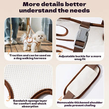 Dog bag out portable breathable multi-functional traction backpack Easy to Clean Backpack Breathable Adjustable cat bag petstrap