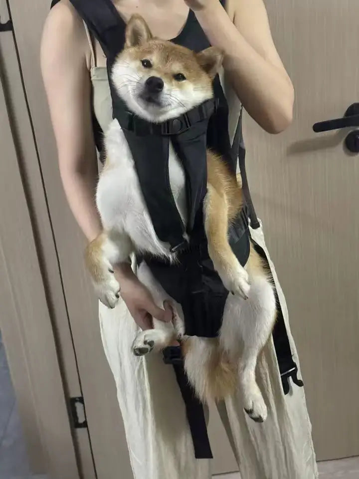 Chest Pet Bag Wrapping Large Dog Backpack, Convenient to Carry when going out, New Product