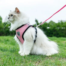 Cat Small Dog Breathable Mesh Harness And Leash Kitten Cats Harnesses Little Dog Puppy Harness For French Bulldog Chihuahua Pug