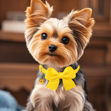 New Waffle Bow Pet Collar Simple Cute Cat Collar Adjustable Yorkshire Chihuahua Small Dog Collar All-match Pet Accessories