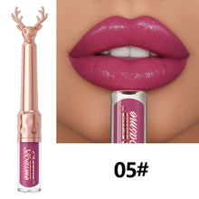 Brillant à lèvres hydratant, rouge à lèvres liquide hydratant automne/hiver, maquillage pour les lèvres longue tenue non gras, brun de Noël