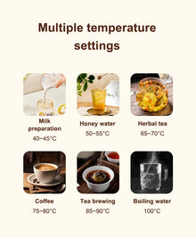 12V/24V/110V/220V Temperature Control Electric Kettle Car Travel Insulation Heating Cup 500ml Hot Water Boiler Coffee Tea Bottle