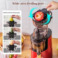 220V Cold Press Juicer Home Slag Separation Ginger Fruit Vegetable Juice Extractor Multifunctional Fruit Slow Juicer Automatic