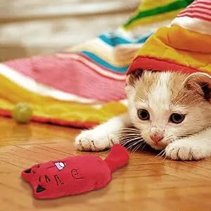 SCGK Cat Toy Catnip Toys Soft Plush Cat Nip Chew Toy for Indoor Cats, Interactive Kitten Pillow Kitty Teething Toys for Cat