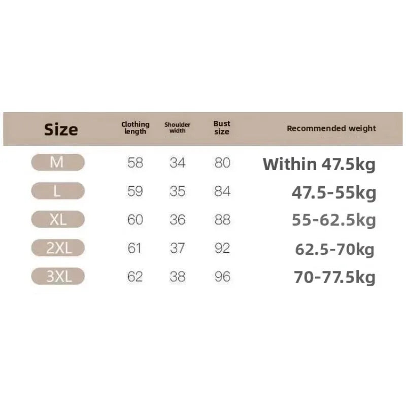 Women Threaded New Summer Short Sleeved Top for Fashion Versatile Base Shirt Plus Size Slim Fit V-neck Casual and Sexy T-shirt