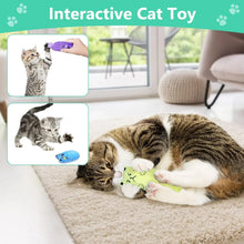 SCGK Cat Toy Catnip Toys Soft Plush Cat Nip Chew Toy for Indoor Cats, Interactive Kitten Pillow Kitty Teething Toys for Cat