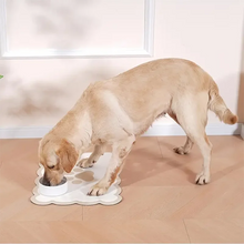 Pet Feeding Mat Absorbent Anti-Slip Dog Bowl Mat Diatomaceous Earth Pet Mats for Water and Food Bowl