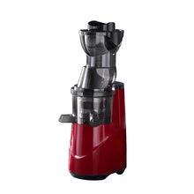 220V Cold Press Juicer Home Slag Separation Ginger Fruit Vegetable Juice Extractor Multifunctional Fruit Slow Juicer Automatic
