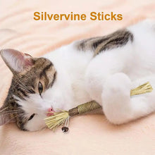 Cat Silver Vine Teeth Grinding Rod Natural Catnip Cat Toy Dental Care Wood Toy For Cat Bite Resistant Tooth Cleaning Supplies