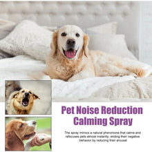 Spray calmant relaxant pour chien 50 ml, réduction du bruit, anti-aboiement, calme l'agitation, met fin aux comportements négatifs, fournitures de santé pour animaux