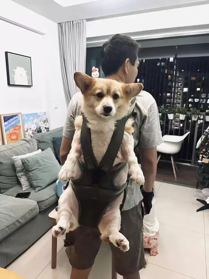 Chest Pet Bag Wrapping Large Dog Backpack, Convenient to Carry when going out, New Product