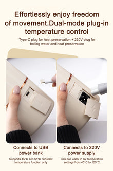 12V/24V/110V/220V Temperature Control Electric Kettle Car Travel Insulation Heating Cup 500ml Hot Water Boiler Coffee Tea Bottle