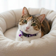 Adjustable Pet Cat Collar Quick Release Safety Buckle Anti-lost Cat Necklace Cat Pattern with Cat Face Pendant Bell