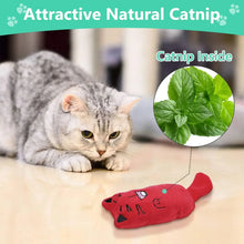 SCGK Cat Toy Catnip Toys Soft Plush Cat Nip Chew Toy for Indoor Cats, Interactive Kitten Pillow Kitty Teething Toys for Cat