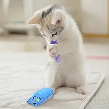 SCGK Cat Toy Catnip Toys Soft Plush Cat Nip Chew Toy for Indoor Cats, Interactive Kitten Pillow Kitty Teething Toys for Cat