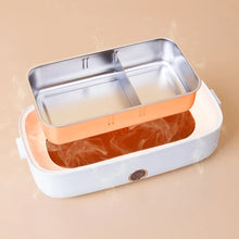 USB Electric Heated Lunch Box Stainless Steel School Student Travel Picnic Car 12V 24V Heating Food Warmer Container 220V Office