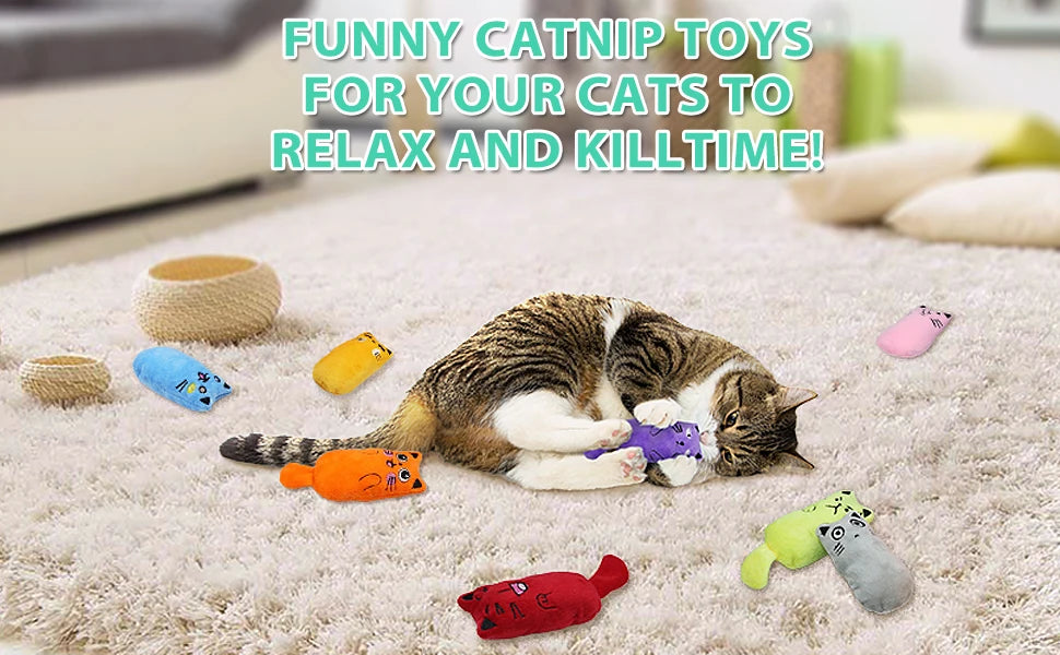 SCGK Cat Toy Catnip Toys Soft Plush Cat Nip Chew Toy for Indoor Cats, Interactive Kitten Pillow Kitty Teething Toys for Cat