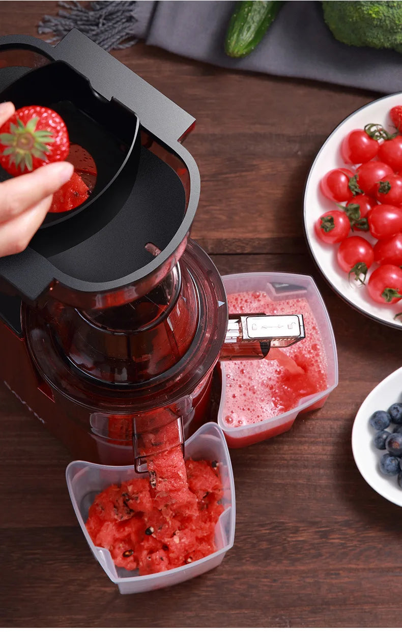 220V Cold Press Juicer Home Slag Separation Ginger Fruit Vegetable Juice Extractor Multifunctional Fruit Slow Juicer Automatic