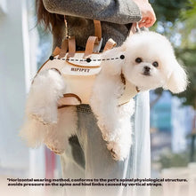 Dog bag out portable breathable multi-functional traction backpack Easy to Clean Backpack Breathable Adjustable cat bag petstrap