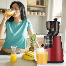 220V Cold Press Juicer Home Slag Separation Ginger Fruit Vegetable Juice Extractor Multifunctional Fruit Slow Juicer Automatic