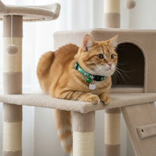 Adjustable Pet Cat Collar Quick Release Safety Buckle Anti-lost Cat Necklace Cat Pattern with Cat Face Pendant Bell