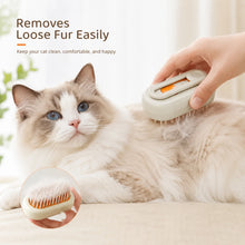 Rechargeable Steam Cat Grooming Brush Steamy To Remove Loose Hair 3 in1 Electric Self Cleaning Spray Dog Brush Massage Pet Combs