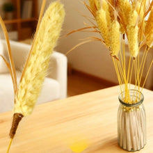 Cat Teaser Stick Toy Natural Bite Resistant Straw Bell Kitten Toy Pet Cat Teeth Cleaning Feather Teasing Stick Cat Accessories
