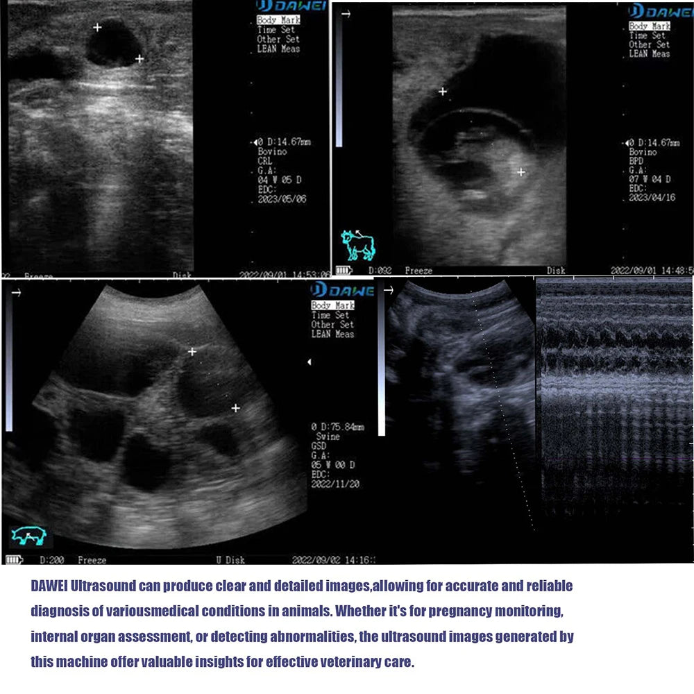 Portable Veterinary Ultrasound Scanner, Vet Pregnancy Check Handheld Ultra Machine, for Pig Sheep Cow Horse Dog Cat Use