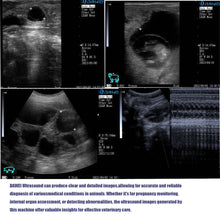 Portable Veterinary Ultrasound Scanner, Vet Pregnancy Check Handheld Ultra Machine, for Pig Sheep Cow Horse Dog Cat Use