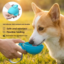 Dog Water Bottle with Removable Silicone Bowl 285ml Portable Dog Drinker 2-in-1 Stainless Steel Travel Pet Supplies