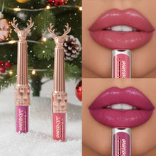 Brillant à lèvres hydratant, rouge à lèvres liquide hydratant automne/hiver, maquillage pour les lèvres longue tenue non gras, brun de Noël