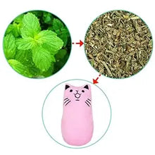 SCGK Cat Toy Catnip Toys Soft Plush Cat Nip Chew Toy for Indoor Cats, Interactive Kitten Pillow Kitty Teething Toys for Cat