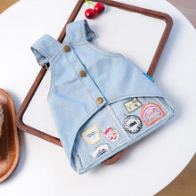 Pet Cat and Dog Clothes Retro Badge Denim Skirt Handsome Summer Outing Short Skirt Suitable for Small