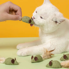 Mouse Mint Ball Feather Catnip Ball Self Cleaning Teeth Grinding Ball Feather Toy Ball Pet Toys Cat Supplies Pet Cleaning Tool