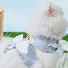 Angel Wing Vest Harness Leash Cat Dog Pet Supplies Personalized Necklace Accessories Harness Leash 4 Season