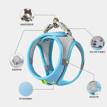 Dog Harness Leash Set for Small Dogs Adjustable Puppy Cat Harness Vest French Bulldog Chihuahua Pug Outdoor Walking Lead Leash