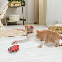 7PCS Cute Miniature Electric Interactive Pet Toy, Battery-powered for Cats to Play With, Cute Miniature Cat Toy