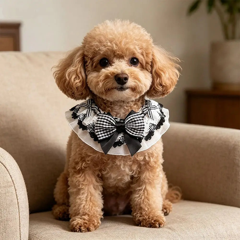 Cute Spring Summer Pet Water Scarf Bowknot Lace Trim Cat Scarf Breathable Princess Small Dog Scarf for Small Dog