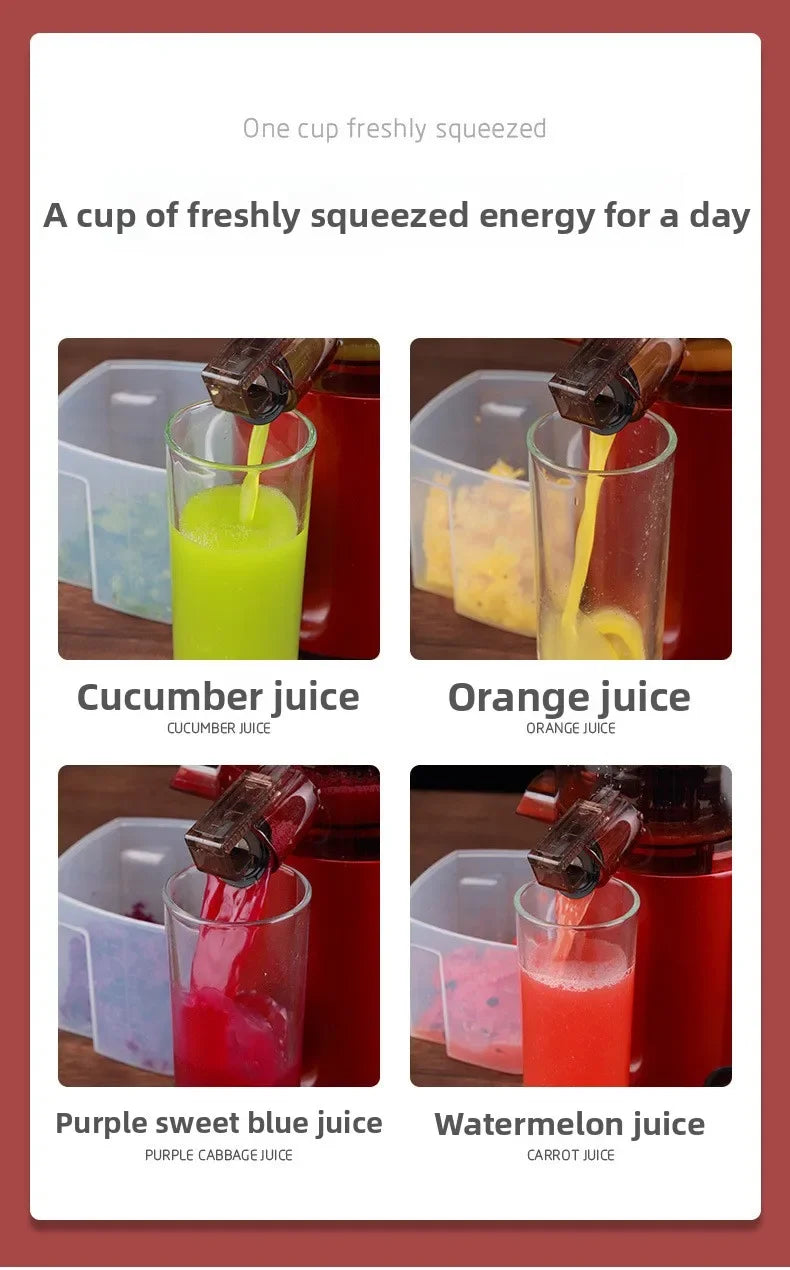220V Cold Press Juicer Home Slag Separation Ginger Fruit Vegetable Juice Extractor Multifunctional Fruit Slow Juicer Automatic