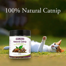 Cat Toys - Silvervine Catnip for Cats, 100% Natural Catnip Catnip Herbal Tea Loose Leaf, 210ML, Safe for All Cat Ages Pet Supply