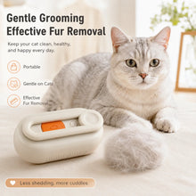 Rechargeable Steam Cat Grooming Brush Steamy To Remove Loose Hair 3 in1 Electric Self Cleaning Spray Dog Brush Massage Pet Combs