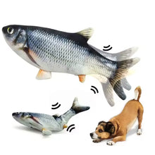 Jouet pour chat et chien en forme de poisson, rechargeable par USB, simulateur de poisson électrique, jouet interactif pour le dressage, le nettoyage des dents et la mastication des animaux