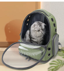 Transparent Pet Cat Carrier Bag Outdoor Travel Backpack for Cats Small Dogs Breathable Cat Carrying Bag Pet Supplies